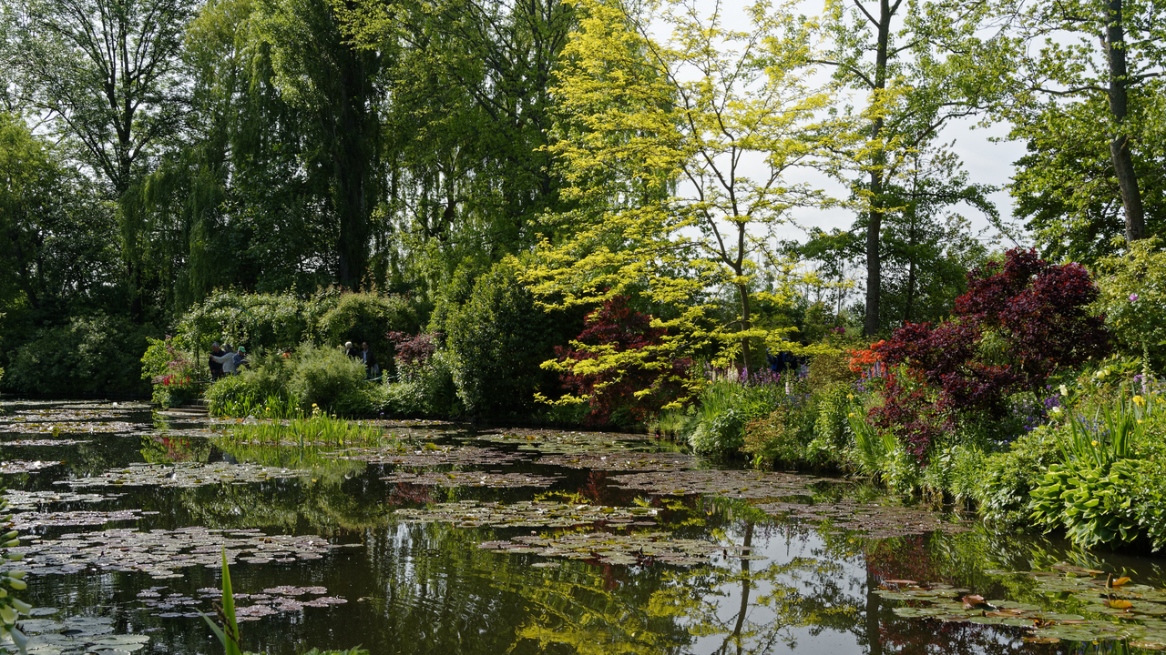 20190529-100207•Giverny (Jardin de Monet)•Limetz-Villez•Ile-de-France•France